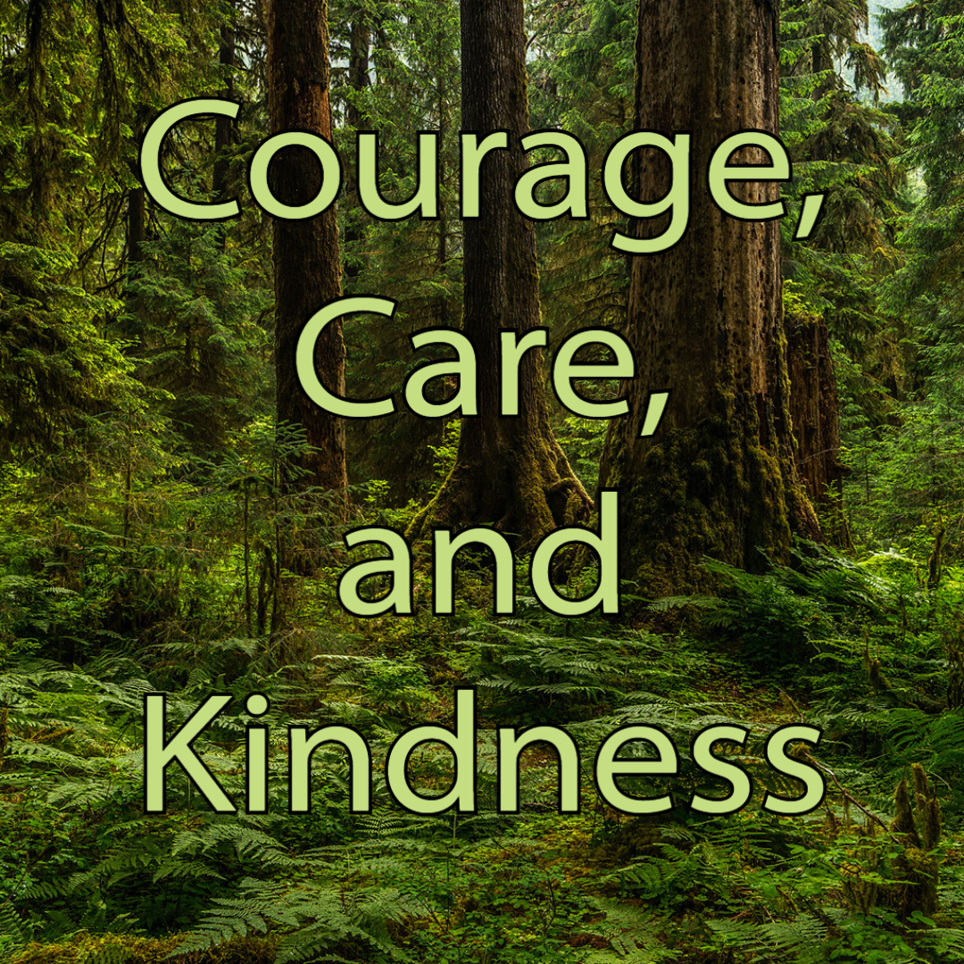 Courage, Care, and Kindness phrase