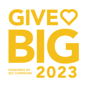 Give BIG 2023 logo